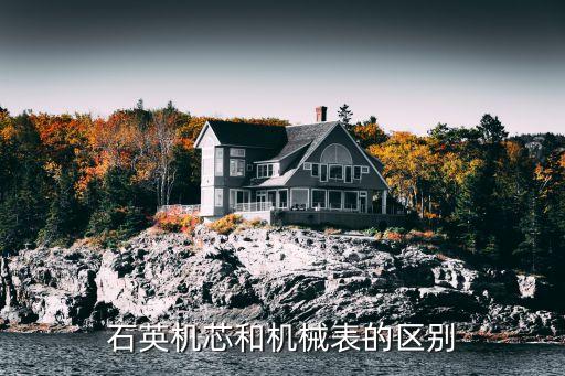 手表收藏家...